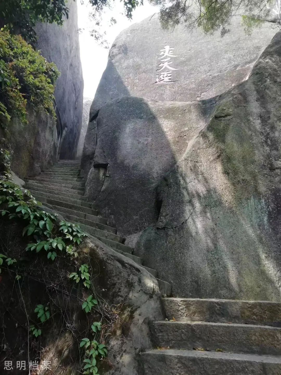 1748313957814617.jpg